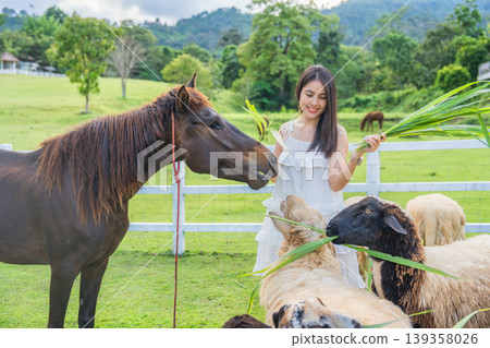 Beautiful asian woman feeding grass to flock of sheep and horse on green hill 139358026