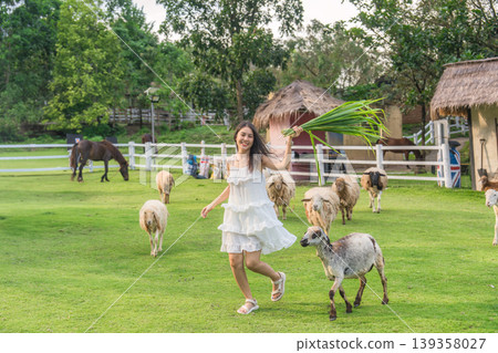 Beautiful asian woman feeding grass to flock of sheep on green hill Beautiful asian woman feeding grass to flock of sheep on green hill 139358027
