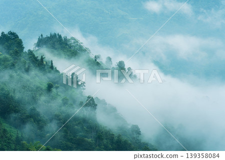 Foggy mountain with tropical rainforest in the morning Foggy mountain with tropical rainforest in the morning 139358084