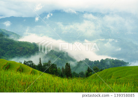 Lush rice field terraces with mountain and foggy covered in the morning Lush rice field terraces with mountain and foggy covered in the morning 139358085