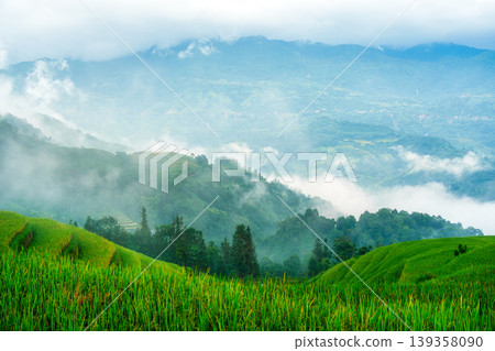 Lush rice field terraces with mountain and foggy covered in the morning 139358090