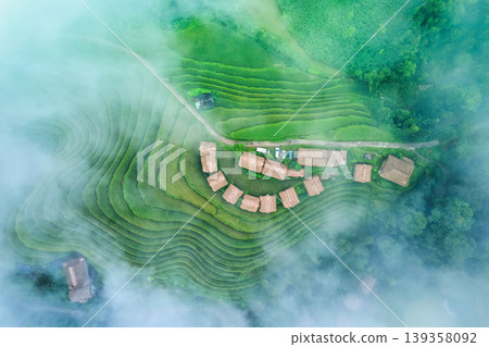 Wooden homestay on lush rice field terraces enveloped in fog during harvest in the morning 139358092