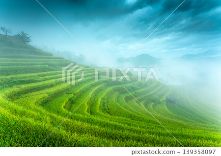 Lush green rice field terraces in foggy morning at countryside Lush green rice field terraces in foggy morning at countryside 139358097