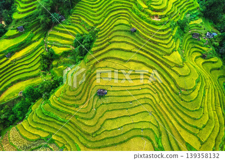 Beautiful lush rice field terrace with barn during harvest on highland in countryside at Vietnam Beautiful lush rice field terrace with barn during harvest on highland in countryside at Vietnam 139358132