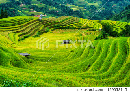 Lush rice field terraces with barn in farmland on countryside Lush rice field terraces with barn in farmland on countryside 139358145