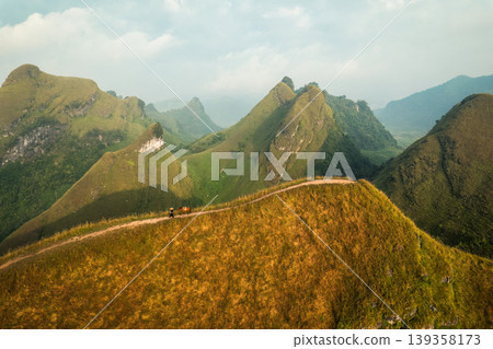 Scenery of Ba Guang grass hill, Mountain range with fog and villager bringing horse to graze on the mountain in the morning Scenery of Ba Guang grass hill, Mountain range with fog and villager bringing horse to graze on the mountain in the morning 139358173