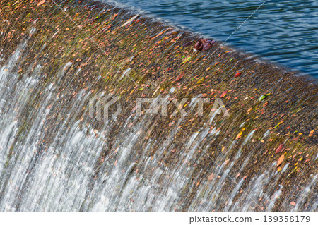 Freshwater flowing over dam edge with colorful leaves 139358179