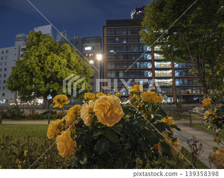 Yellow roses, a soothing presence, adorn the nighttime office district. 139358398
