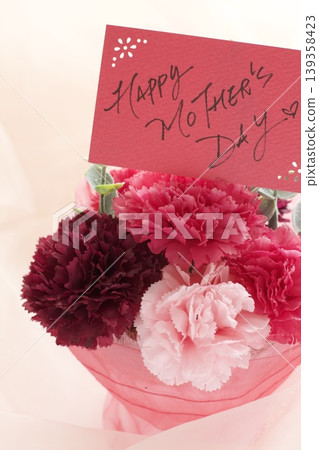 Carnation on Mother's Day Carnation on Mother's Day 139358423