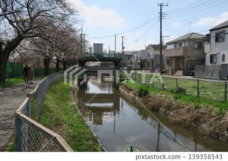埼玉市美沼大洋水運河西岸的櫻花樹 埼玉市美沼大洋水運河西岸的櫻花樹 139358543