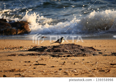 Sea and chestnut trees 139358998