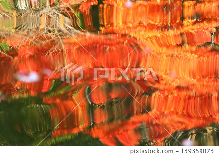 Autumn leaves reflected on the water 139359073