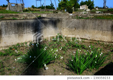 Damaged by the tsunami of the Great East Japan Earthquake... Disaster-related remains [Arahama area - house foundations] 139359153