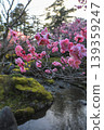 Plum Kenrokuen 139359247