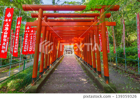 The red torii gate of Komakiyama Inari Shrine (Komaki City, Aichi Prefecture) The red torii gate of Komakiyama Inari Shrine (Komaki City, Aichi Prefecture) 139359326