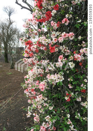 An object decorated with many flowers An object decorated with many flowers 139359393