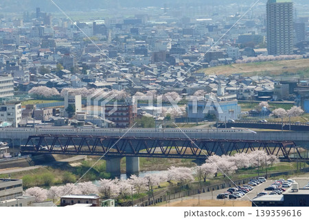 Asuwa River Cherry Blossom Avenue: A famous cherry blossom viewing spot, with the Hokuriku Shinkansen and cherry blossom trees. 139359616