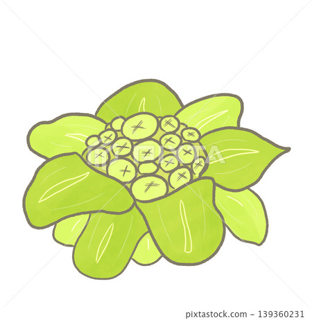 R:更多童話般的蔬菜:款冬芽 ② R:更多童話般的蔬菜:款冬芽 ② 139360231