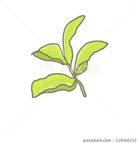 R: More fairytale-like vegetables - Tea tree ① R: More fairytale-like vegetables - Tea tree ① 139360252