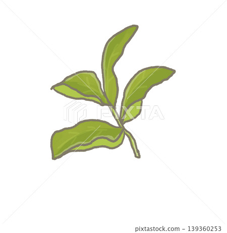 R: More fairytale-like vegetables: Tea tree ② 139360253