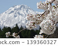 櫻花盛開，背景是白雪皚皚的妙高山。 139360327