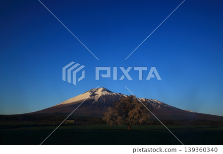 岩手山和Ikura櫻花樹 139360340