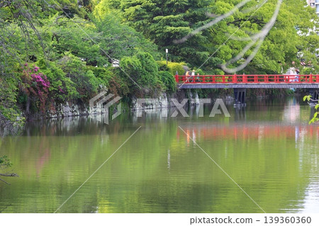 The red Gakubashi Bridge at Odawara Castle The red Gakubashi Bridge at Odawara Castle 139360360