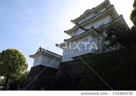 小田原城的主城 小田原城的主城 139360556