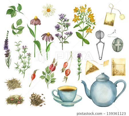 A set of watercolor illustrations on the theme of herbal tea. Hand-painted chamomile, echinacea, oregano, rosehip, Hypericum, tea bag, metal brewing nozzle, teapot and cup to create an organic drink. A set of watercolor illustrations on the theme of herbal tea. Hand-painted chamomile, echinacea, oregano, rosehip, Hypericum, tea bag, metal brewing nozzle, teapot and cup to create an organic drink. 139361123