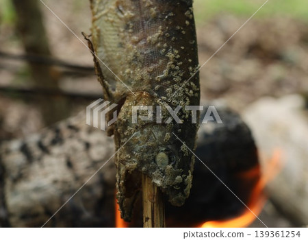 Salt-grilled sea cucumber 139361254