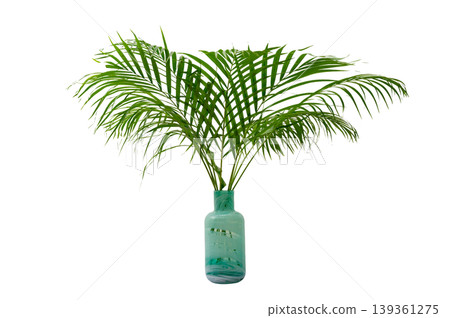 Tropical Palm Leaves in a Teal Marble Glass Vase. palm tree in a flowerpot. palm tree in a vase. Coconut leaf, vase, isolate. Tropical Palm Leaves in a Teal Marble Glass Vase. palm tree in a flowerpot. palm tree in a vase. Coconut leaf, vase, isolate. 139361275