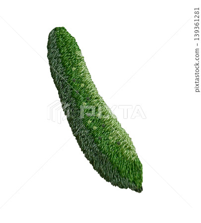 [Cucumber] Hand-embroidered illustration material 139361281