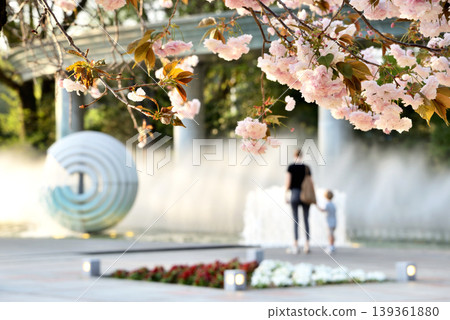 和田倉噴泉公園的重瓣櫻花與親子 和田倉噴泉公園的重瓣櫻花與親子 139361880
