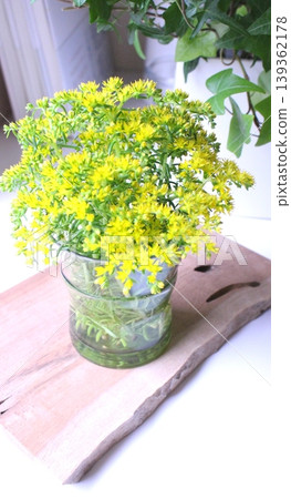A vase of succulents with yellow flowers placed on a wooden plate. A vase of succulents with yellow flowers placed on a wooden plate. 139362178