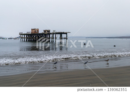 A Chancay pier is visible in the distance with a few birds walking on the beach A Chancay pier is visible in the distance with a few birds walking on the beach 139362351