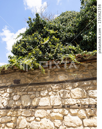 stone wall with lush green ivy and trees hanging over the top. stone wall with lush green ivy and trees hanging over the top. 139362356