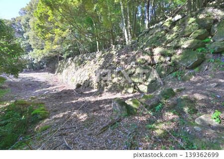 Saga Prefecture, Shishigajo Castle: A view of the mountain castle. 139362699