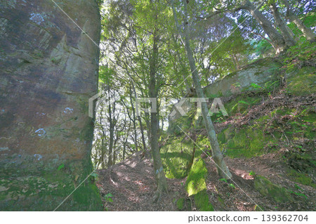 佐賀縣，獅子城：山頂城堡景色。 139362704