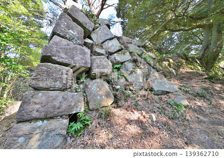 佐賀縣,獅子城:山頂城堡景色。 佐賀縣,獅子城:山頂城堡景色。 139362710