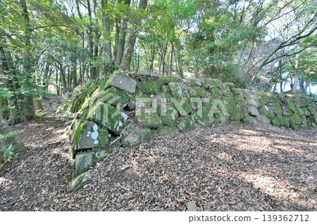 佐賀縣,獅子城:山頂城堡景色。 佐賀縣,獅子城:山頂城堡景色。 139362712