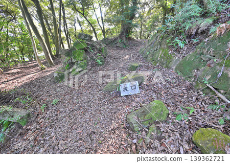 佐賀縣，獅子城：山頂城堡景色。 139362721