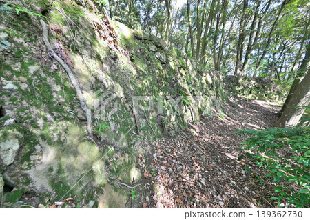 Saga Prefecture, Shishigajo Castle: A view of the mountain castle. Saga Prefecture, Shishigajo Castle: A view of the mountain castle. 139362730