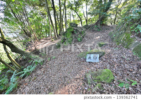 佐賀縣，獅子城：山頂城堡景色。 139362741