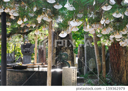 天橋立知恩寺(京都府宮津市) 天橋立知恩寺(京都府宮津市) 139362979