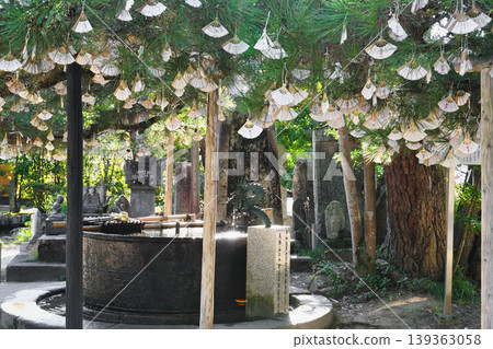 天橋立知恩寺(京都府宮津市) 天橋立知恩寺(京都府宮津市) 139363058