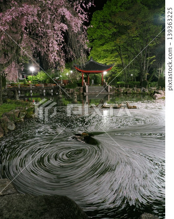 The swirling cherry blossom rafts in Gifu Park The swirling cherry blossom rafts in Gifu Park 139363225