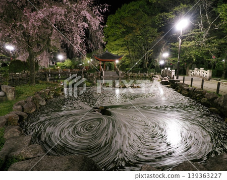 The swirling cherry blossom rafts in Gifu Park The swirling cherry blossom rafts in Gifu Park 139363227