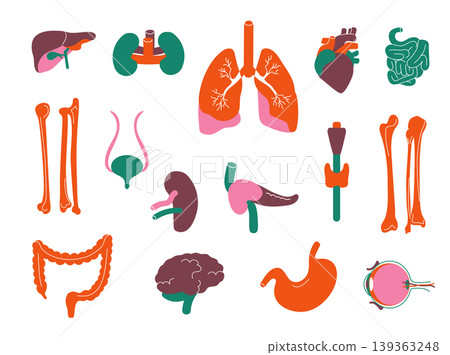 Medical anatomy organ set with colorful heart and brain for healthcare education posters, clinic brochures, and hospital app or textbook design. Flat vector illustration Medical anatomy organ set with colorful heart and brain for healthcare education posters, clinic brochures, and hospital app or textbook design. Flat vector illustration 139363248