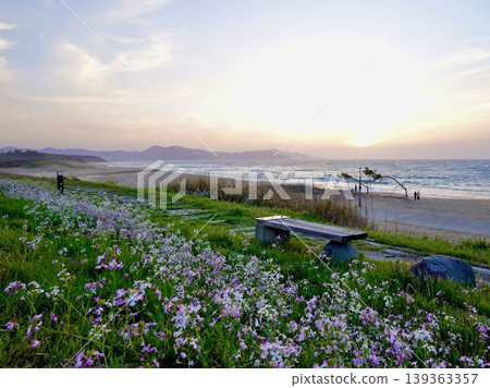 從京都府京丹後市阿彌野町濱爪夕日浦海灘沙灘日落步道的長椅上欣賞日落。 從京都府京丹後市阿彌野町濱爪夕日浦海灘沙灘日落步道的長椅上欣賞日落。 139363357