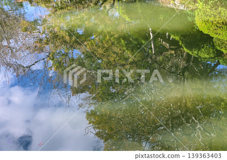 The water reflection of the nature scene in the garden of  kiyomizu-dera temple in Kyoto, Japan. Major tourist attraction in Kansai region in Japan. Nature and travel concept. 139363403